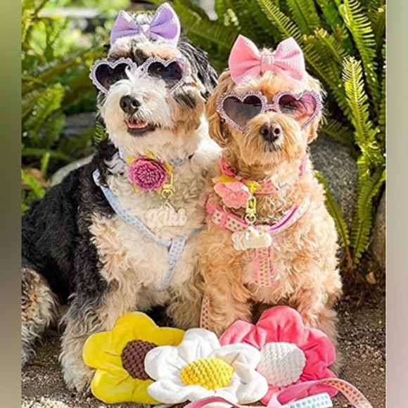 Dog collar - Picture 3 of 3